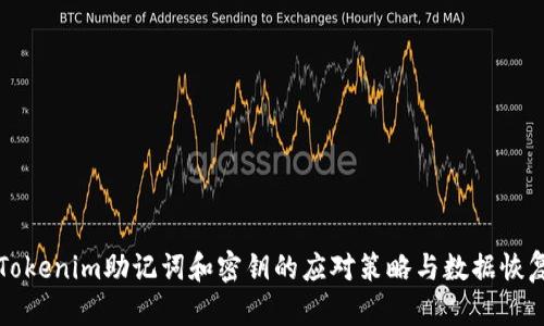 忘记Tokenim助记词和密钥的应对策略与数据恢复指南
