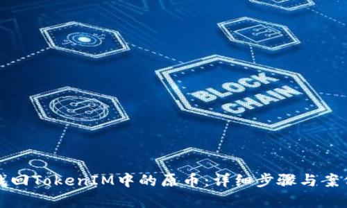 如何找回TokenIM中的原币：详细步骤与案例分析