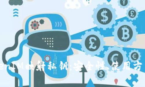 深入解析TokenIM映射私钥：安全性、使用方法及注意事项