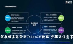 如何找回未备份的TokenIM数据：步骤与注意事项