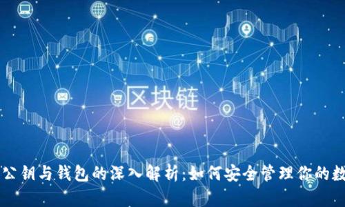 区块链公钥与钱包的深入解析：如何安全管理你的数字资产