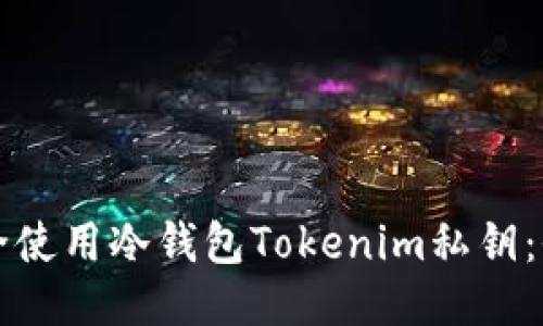 如何安全使用冷钱包Tokenim私钥：全面指南
