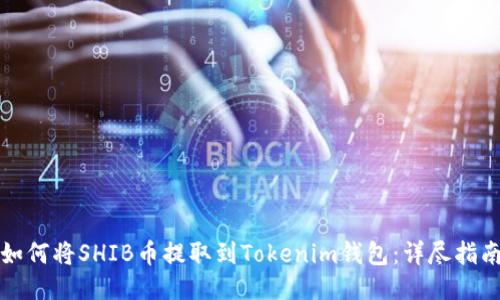 如何将SHIB币提取到Tokenim钱包：详尽指南