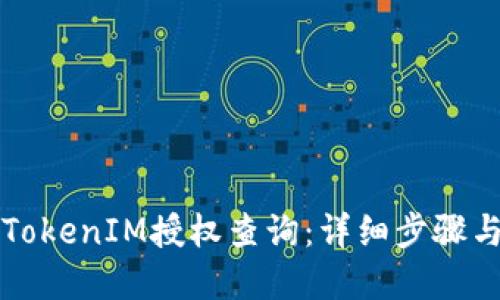 如何进行TokenIM授权查询：详细步骤与最佳实践