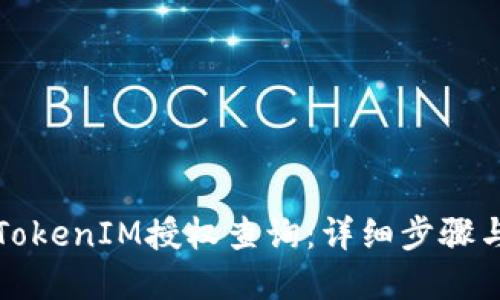 如何进行TokenIM授权查询：详细步骤与最佳实践