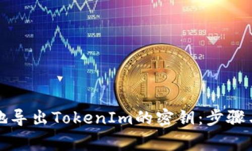 如何安全地导出TokenIm的密钥：步骤与注意事项