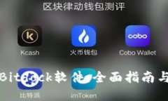 如何下载Bitdock软件：全面指南与实用