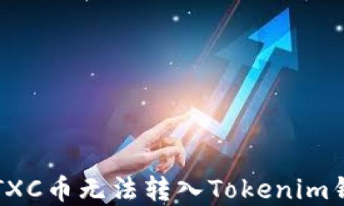
如何解决CTXC币无法转入Tokenim钱包的问题？