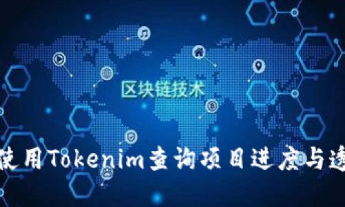 如何使用Tokenim查询项目进度与透明度