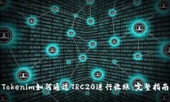 Tokenim如何通过TRC20进行收账：完整指南